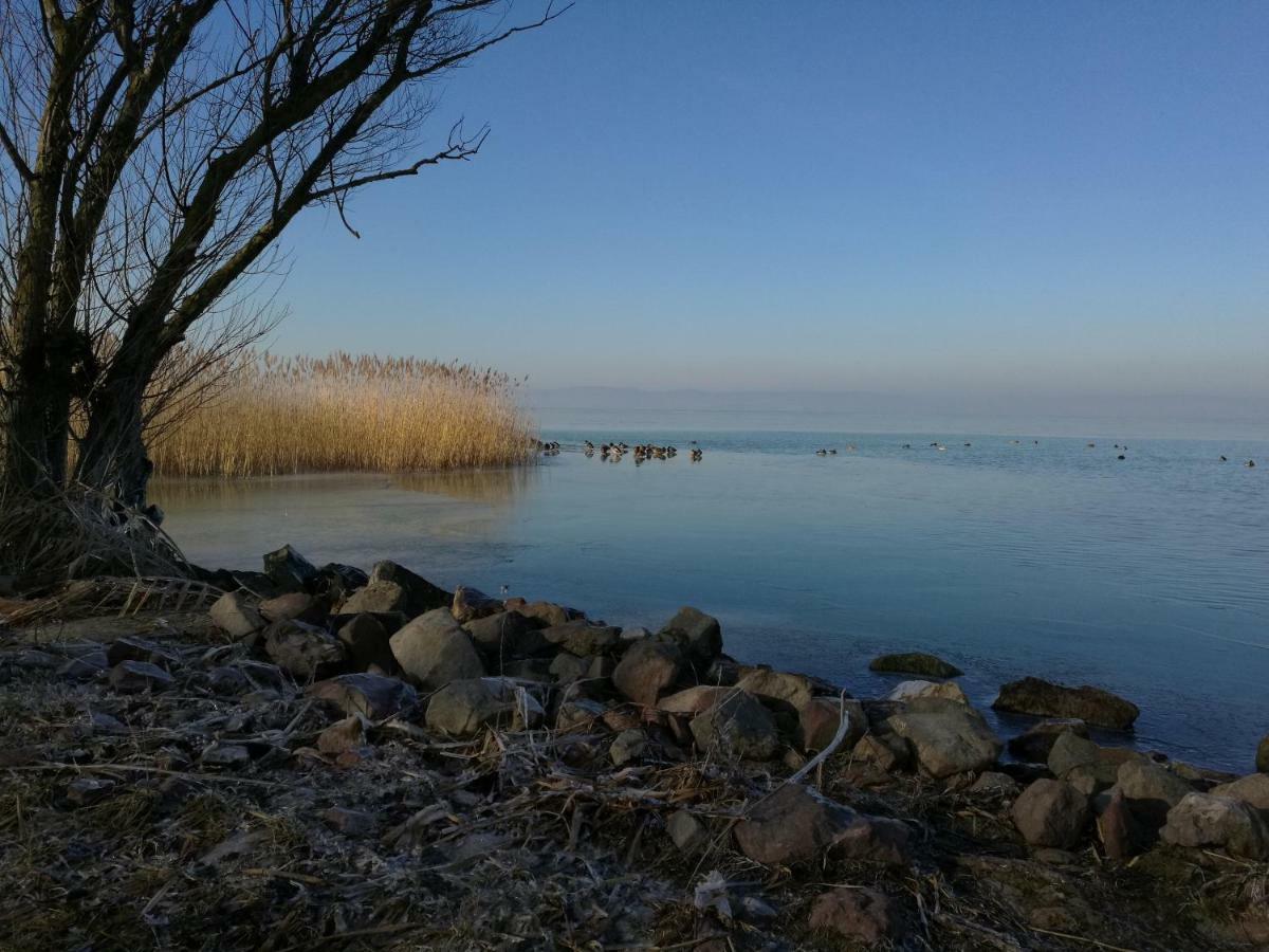 Virágos * Balatonszemes