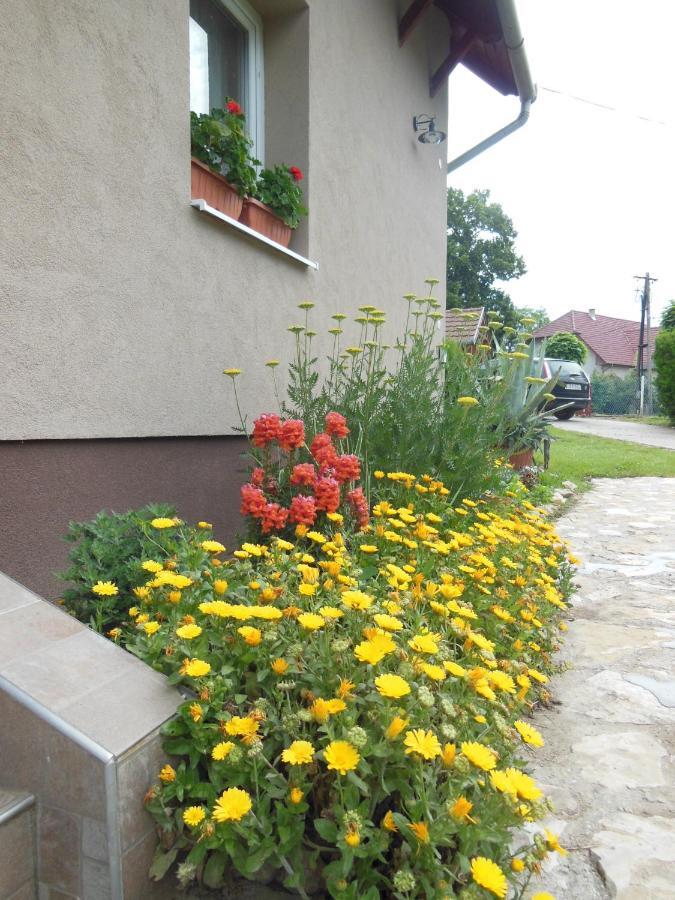 Apartman Virágos Balatonszemes